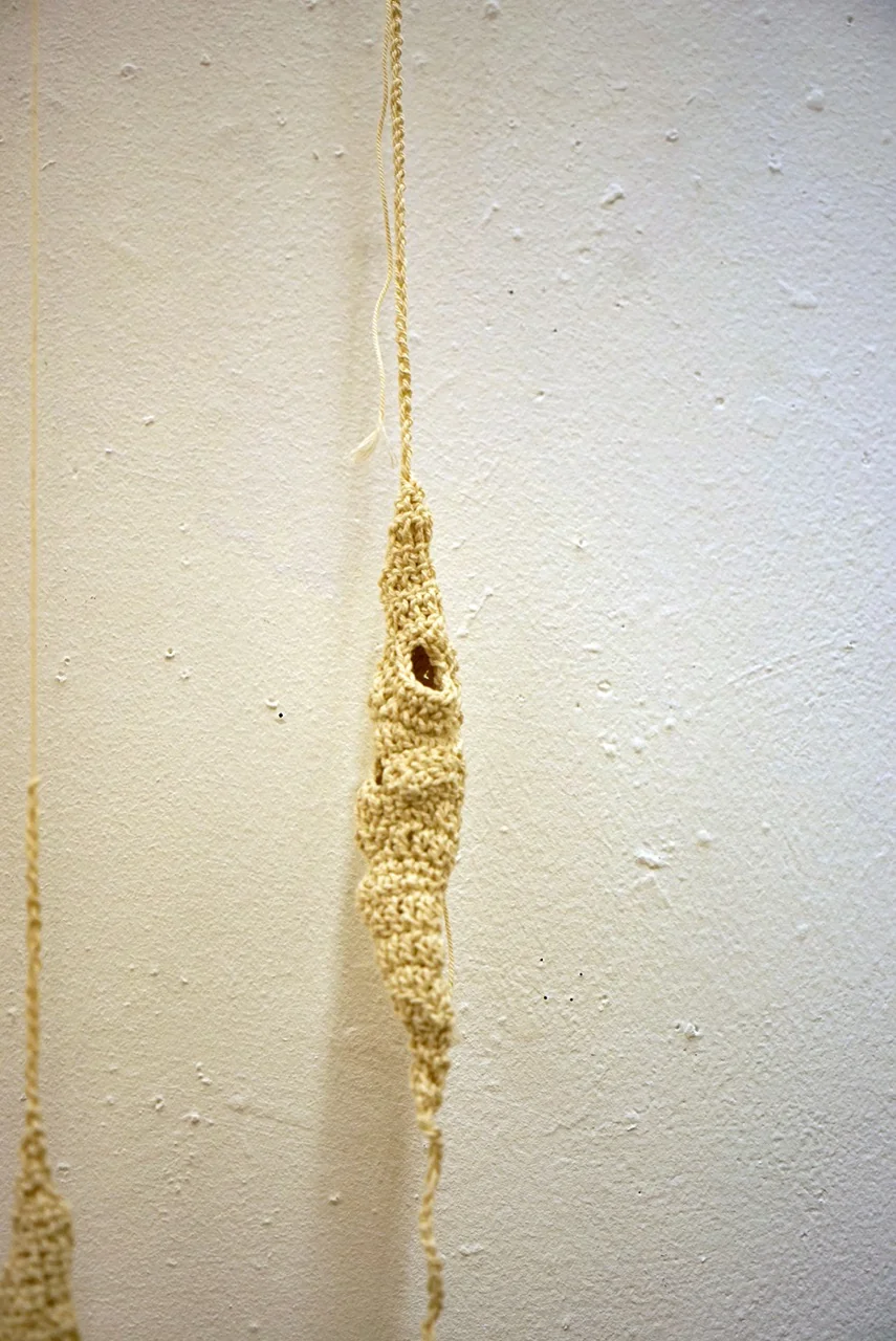 Cocoon's